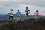 Click on thumbnail for larger photo